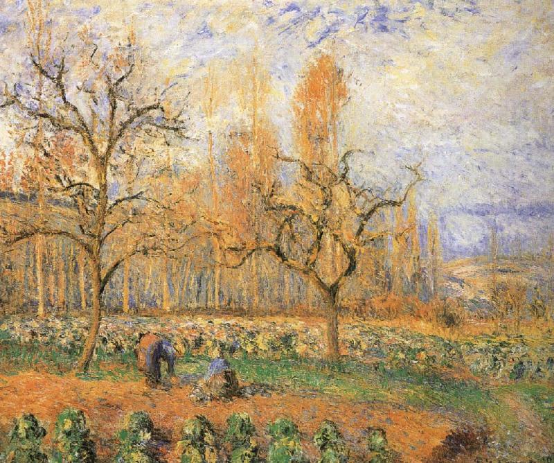 Camille Pissarro Farmland landscape